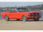Thumbnail Photo 63 for New 1964 Ford Mustang